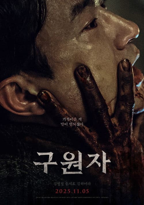 โปสเตอร์ The Favor (2025)