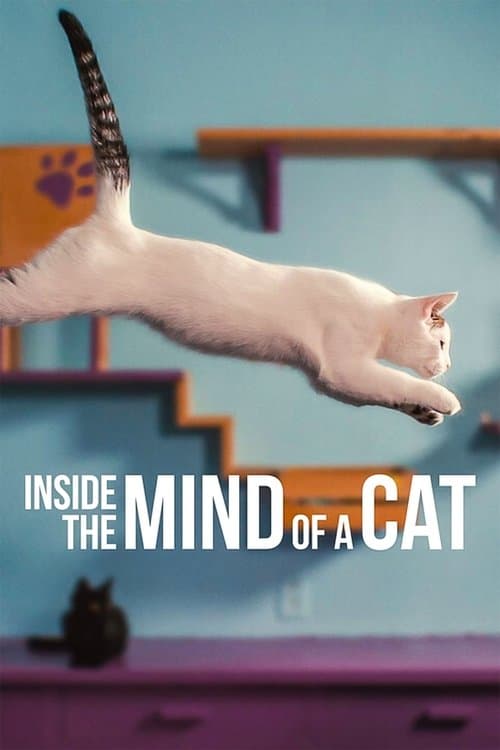 โปสเตอร์ Inside the Mind of a Cat (2022) คิดแบบแมวๆ