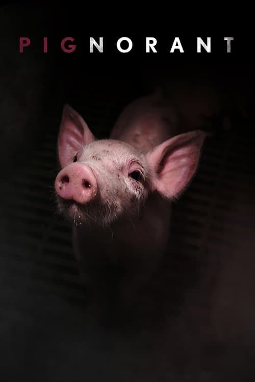 โปสเตอร์ Pignorant
