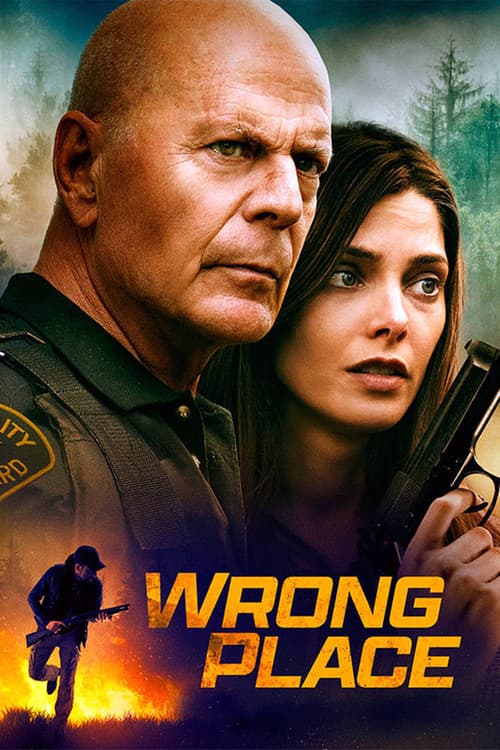 โปสเตอร์ Wrong Place