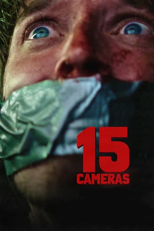 โปสเตอร์ 15 Cameras