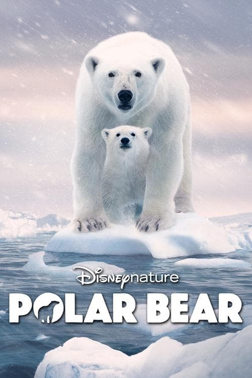 โปสเตอร์ Polar Bear
