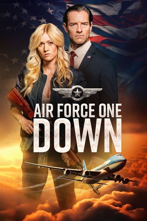โปสเตอร์ Air Force One Down