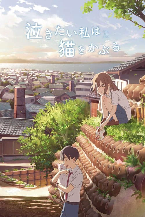 โปสเตอร์ เหมียวน้อยคอยรัก