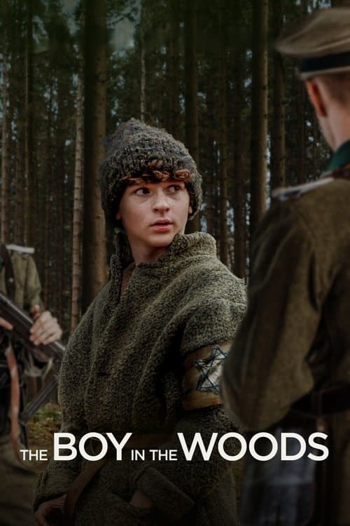 โปสเตอร์ The Boy in the Woods (2023)