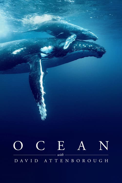 โปสเตอร์ Ocean with David Attenborough (2025)
