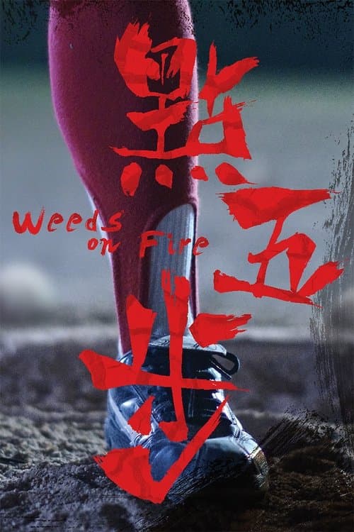โปสเตอร์ Weeds On Fire (2016)