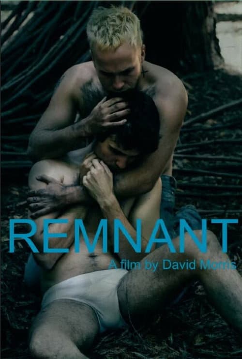 โปสเตอร์ Remnant