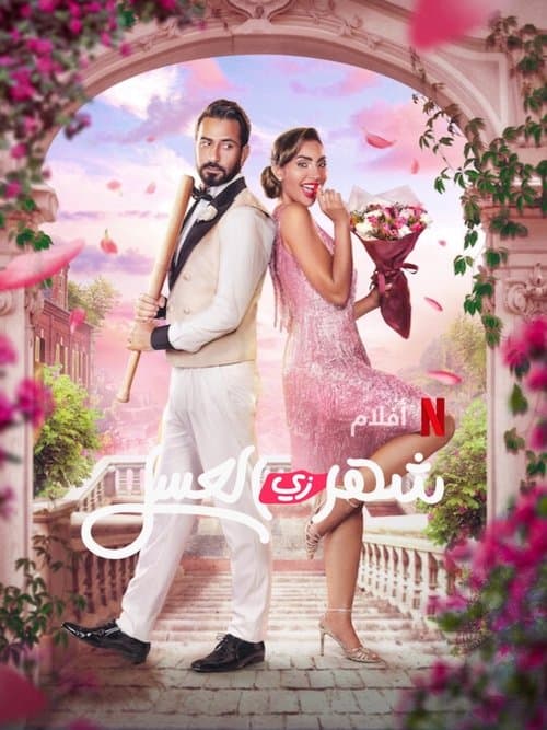 โปสเตอร์ คู่ป่วนฮันนีมูน