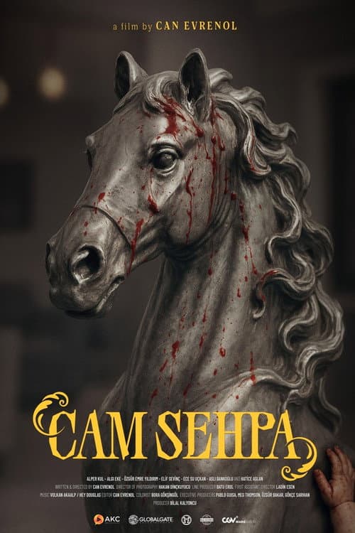 โปสเตอร์ Cam Sehpa (2026)