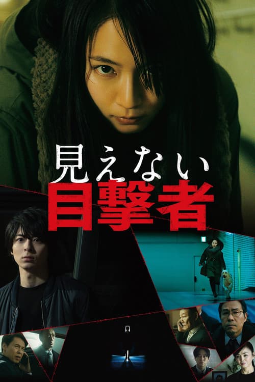 โปสเตอร์ Blind Witness Mienai Mokugekisha (2019) พยานที่มองไม่เห็น
