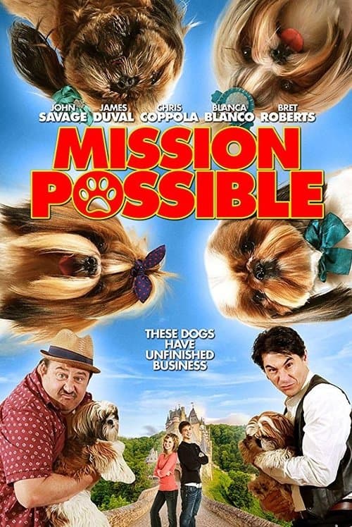 โปสเตอร์ Mission Possible