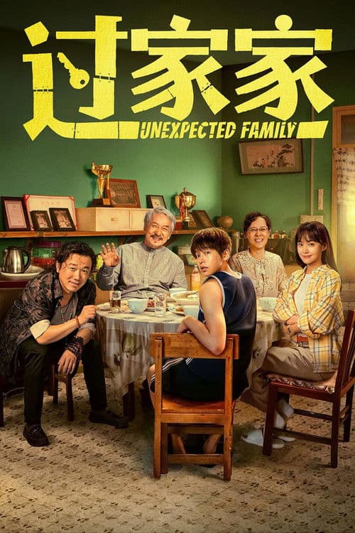 โปสเตอร์ ครอบครัวที่ไม่คาดคิด