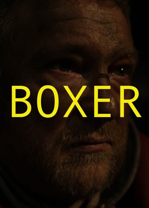 โปสเตอร์ Boxer (2010)