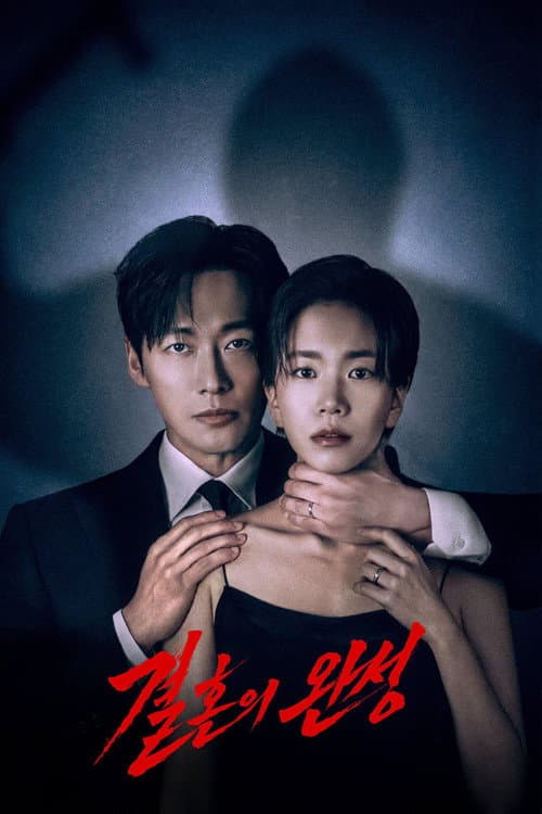 โปสเตอร์ The Husband (2026) คืนล่าก่อนหย่า