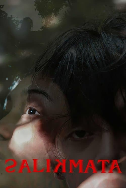 โปสเตอร์ Salikmata