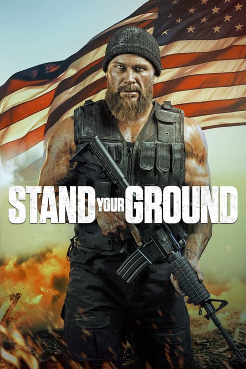 โปสเตอร์ Stand Your Ground