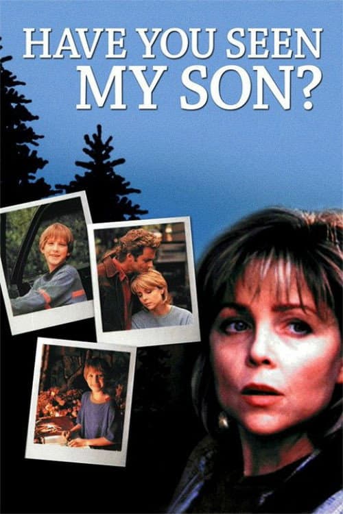 โปสเตอร์ Have You Seen My Son