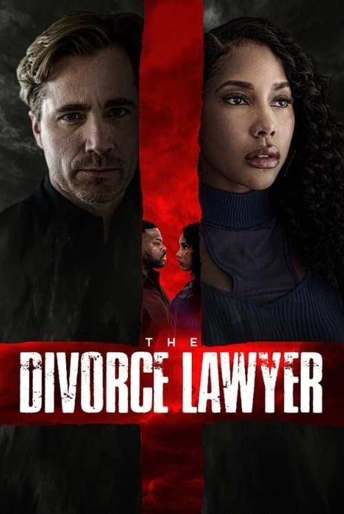 โปสเตอร์ The Divorce Lawyer