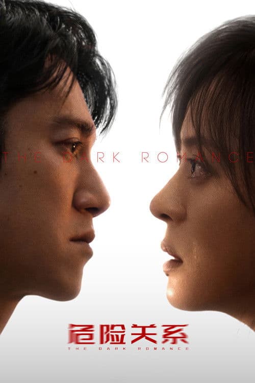 โปสเตอร์ The Dark Romance