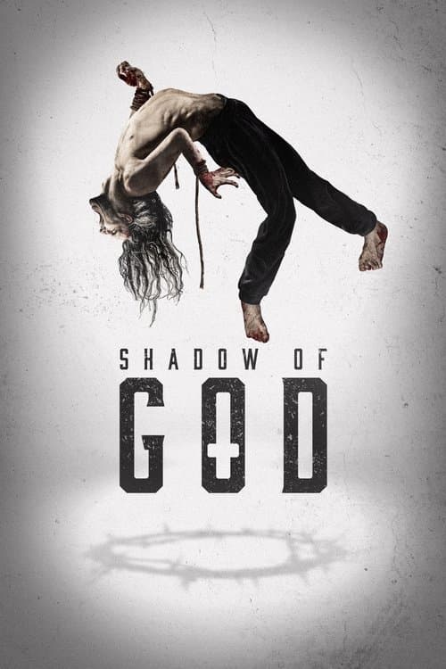 โปสเตอร์ Shadow of God