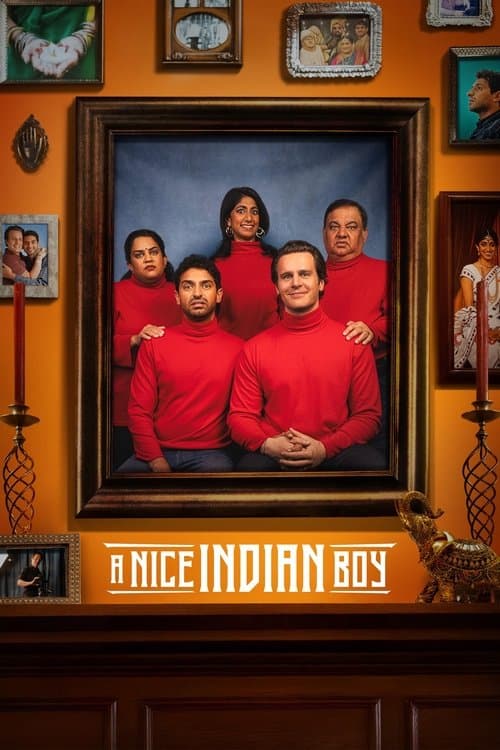 โปสเตอร์ A Nice Indian Boy