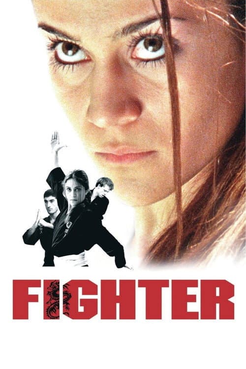 โปสเตอร์ Fighter