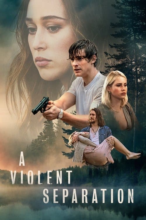 โปสเตอร์ A Violent Separation