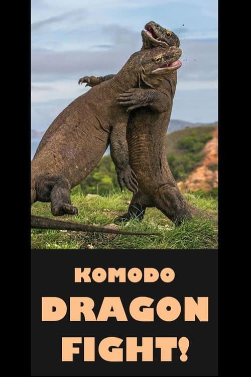 โปสเตอร์ Komodo Dragon Fight! (2017) มังกรกระแทกเมือง