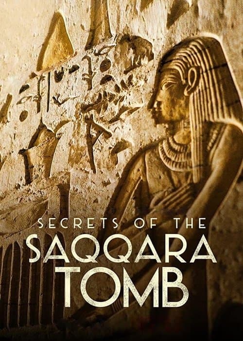 โปสเตอร์ Secrets of the Saqqara Tomb (2020)