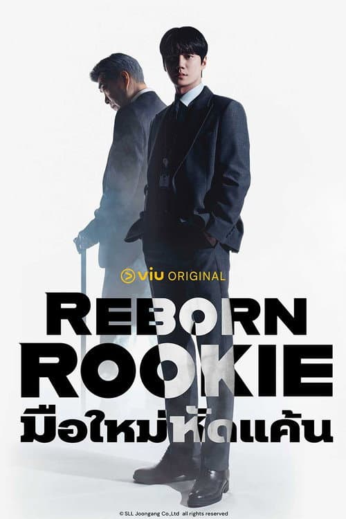 โปสเตอร์ มือใหม่หัดแค้น