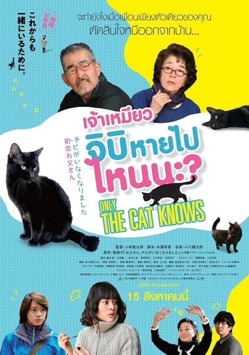 โปสเตอร์ เจ้าเหมียวจิบิหายไปไหนนะ?