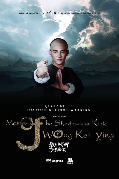 โปสเตอร์ ยอดยุทธ พ่อหนุ่มไร้เงา