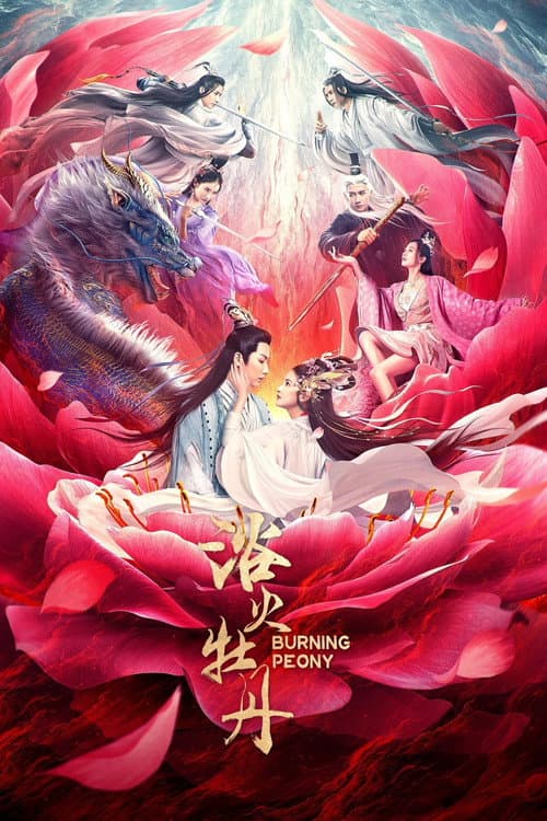 โปสเตอร์ ดอกโบตั๋นที่ลุกไหม้