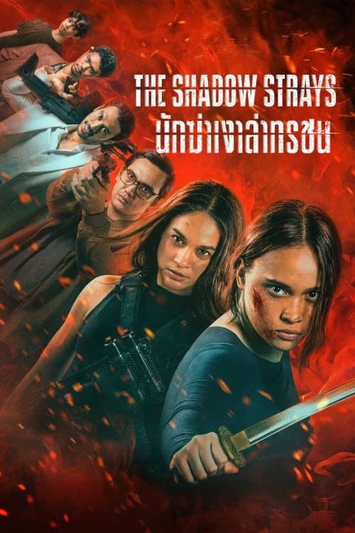 โปสเตอร์ นักฆ่าเงาล่าทรชน