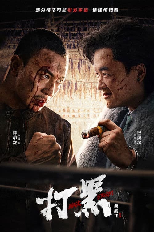 โปสเตอร์ พายุทมิฬ