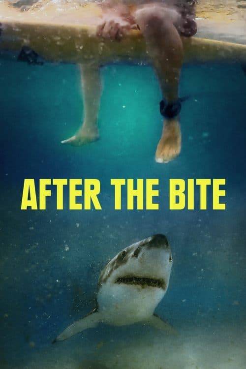 โปสเตอร์ After the Bite